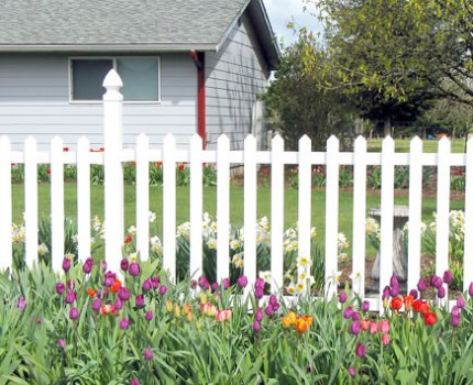 園藝鐵藝圍欄 園藝鐵藝圍欄